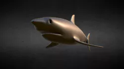 Silver Shark