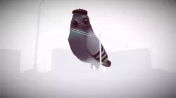 Slavic dove
