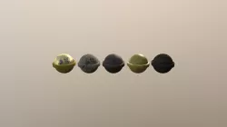Spheres