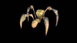 Spider 2