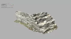 Tidal Talant