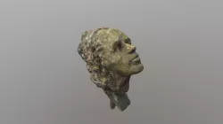 Visage Bonet