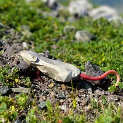Cyber Rat - Topwater Bass Fishing Lure / Bait