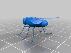 Fly