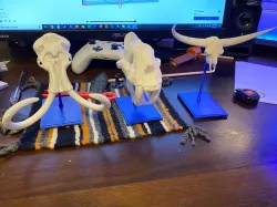 Modified stand for animal skulls (Mammoth skull, Bison latifrons, etc.)