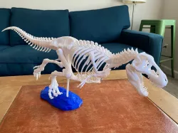 T-Rex skeleton with gastralia (belly ribs) and other anatomical fixes