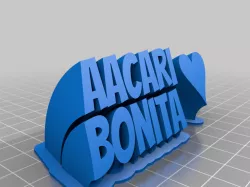 Aacari plate(text)