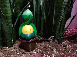 Budew in planter