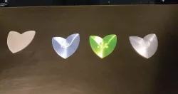 mwoonkey guitar pics