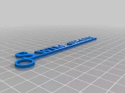Swim shady Name Tag - Keyring