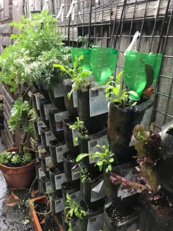 Vertical Garden from Juice Bottles