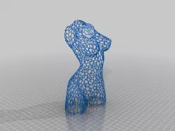 Female Torso Wireframe