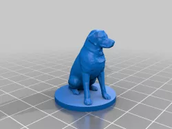 FLASHPOINT DOG