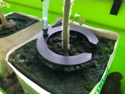 Irrigraion halo dripper for 10cm (4 inch) rockwool cube