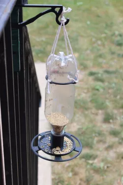 PET Bottle Bird Feeder