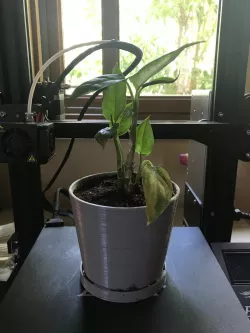 Planter with Attached Pan