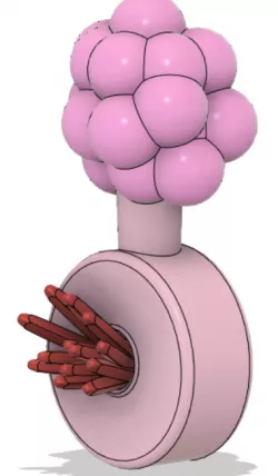 Plumbus