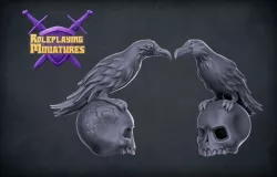 Raven & Skull