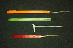 Redneck Toothpick