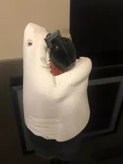 Shark pencil holder
