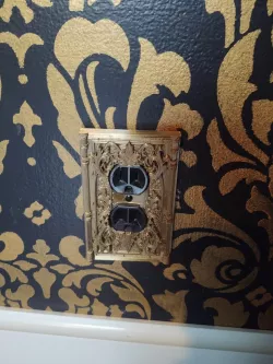 Victorian Plug Plate