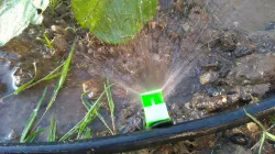 Watering springler (M14x1.5)