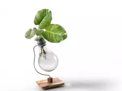 Beta Upcycled Lightbulb Vase 3D model