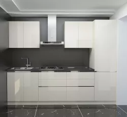 Bianco Cuisine 3D model