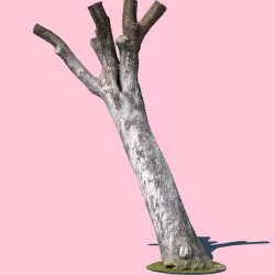Bob Barker-3D Scan 3D model