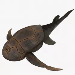 Bothriolepis Low-poly  3D model