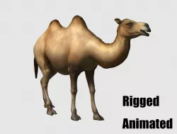camel animation 3D model