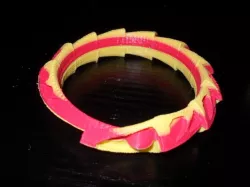 Carapace Bracelet