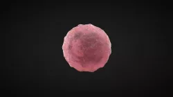 cell 3d model 3D model