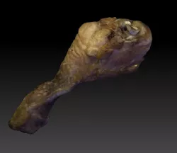 Chicken Drumstick 3D model