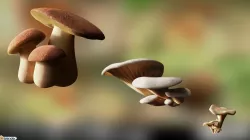 Game ready PBR Mushrooms 3D model SET 1 Low-poly  3D model