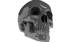 HEAD SKULL C4D 3D model