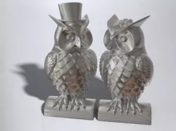 His and Her Owls