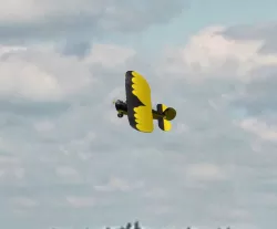Lazy Bee extented wings
