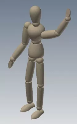 Manikin (movable)