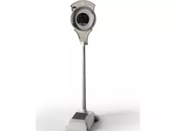 National Penny Scale 3D model