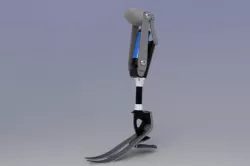 Prosthetic leg model