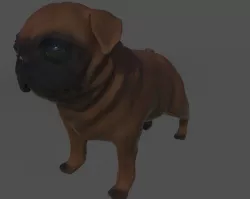 Pug is dog  3D model
