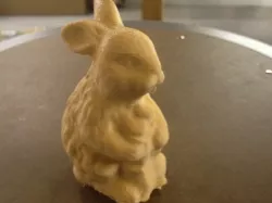 Rabbit Habbit