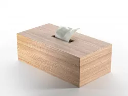 Rectangle Tissue Boxes 3D model