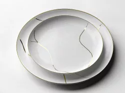 Shallow Plates 3D model