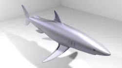 Shark - Mako 3D model