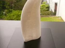 Sperm Whale Tooth