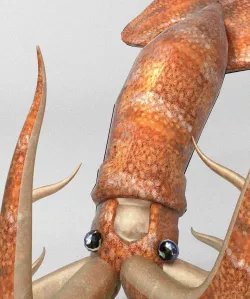 Squid Low-poly  3D model