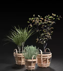 Strap Planters 2 3D model