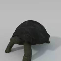 Tortoise Low-poly  3D model